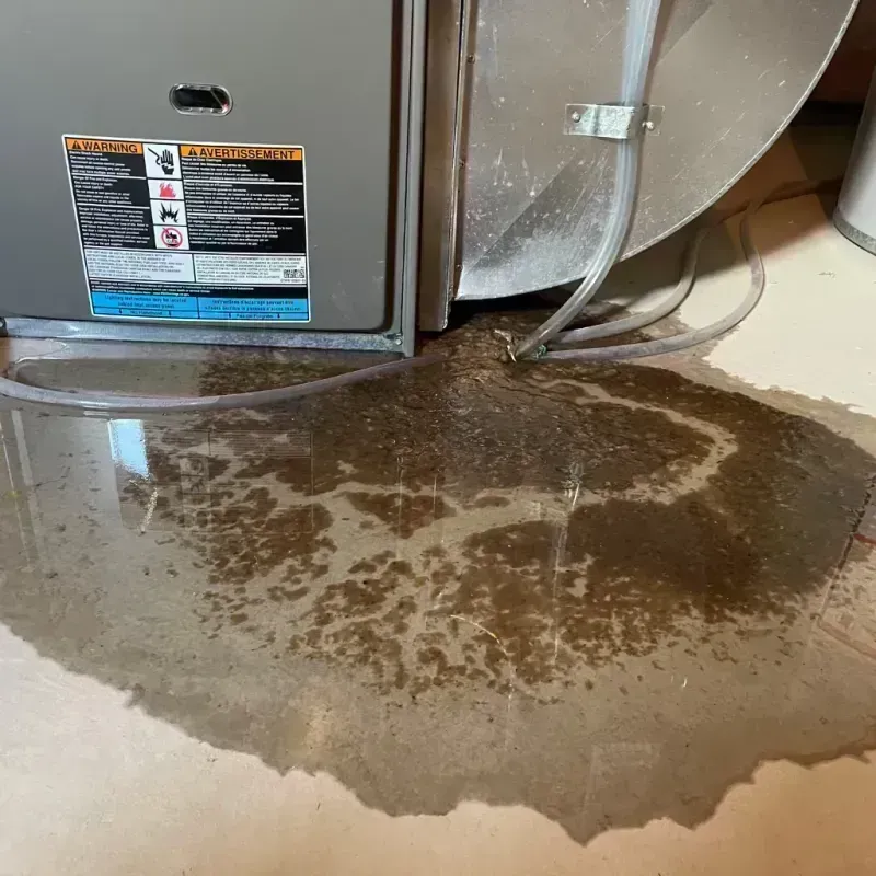 Appliance Leak Cleanup in Long Beach, WA